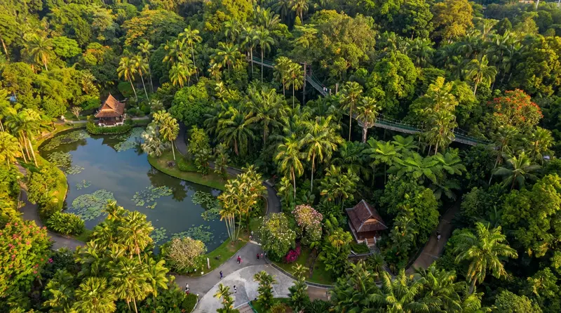 About Kebunsejagat Com