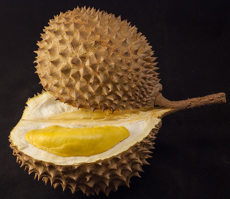 Durian Cara Tanam