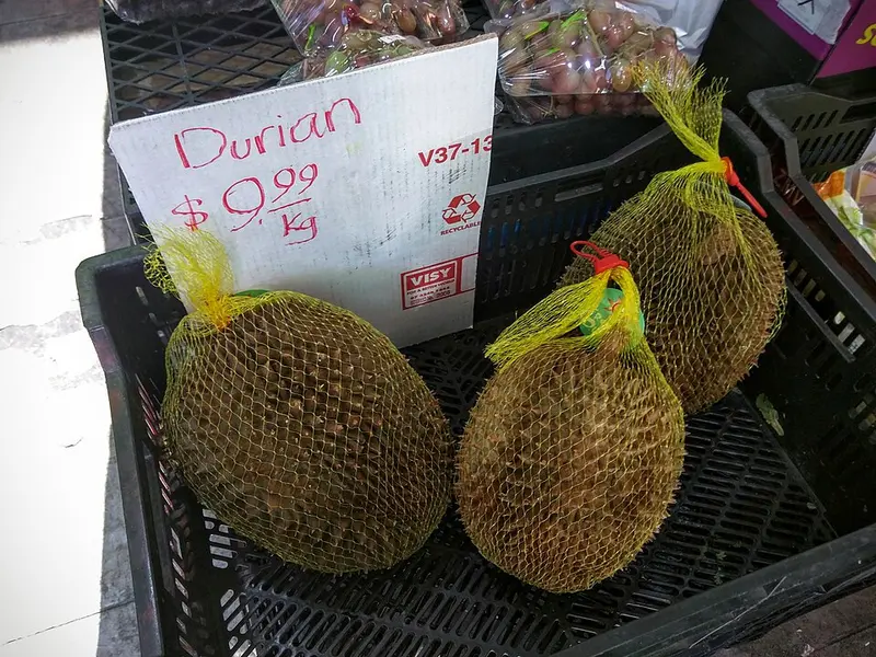 Durian Khasiat Bunga