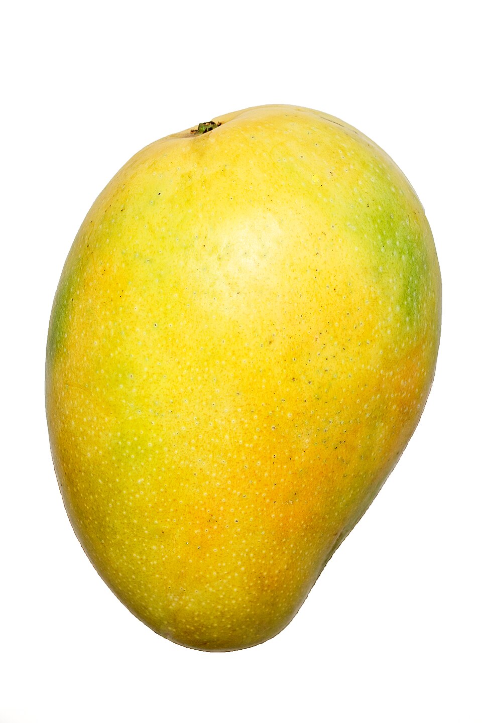 Mangga Khasiat Buah
